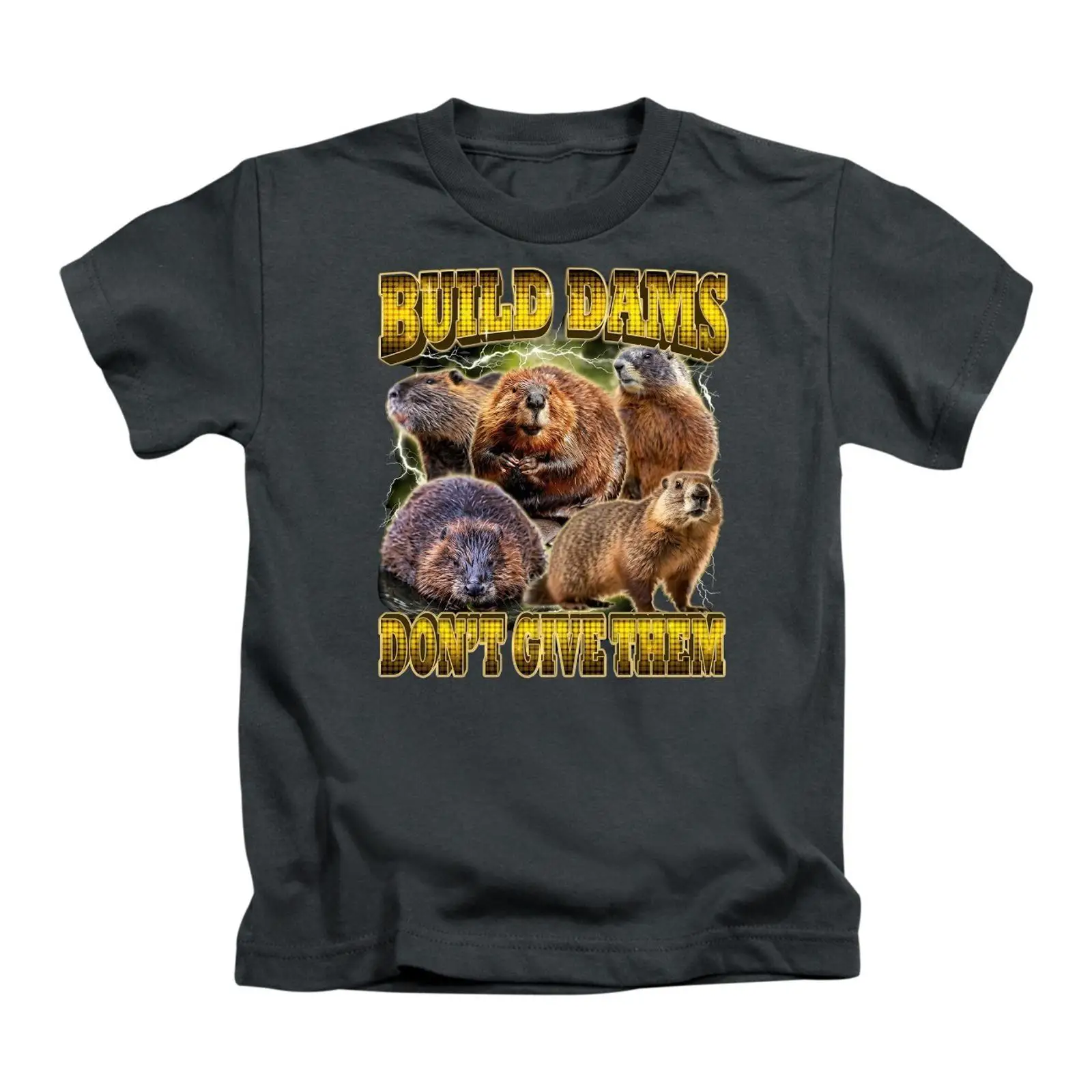 Vintage Fashion Build - Build Dams Don't Give Them T-shirt