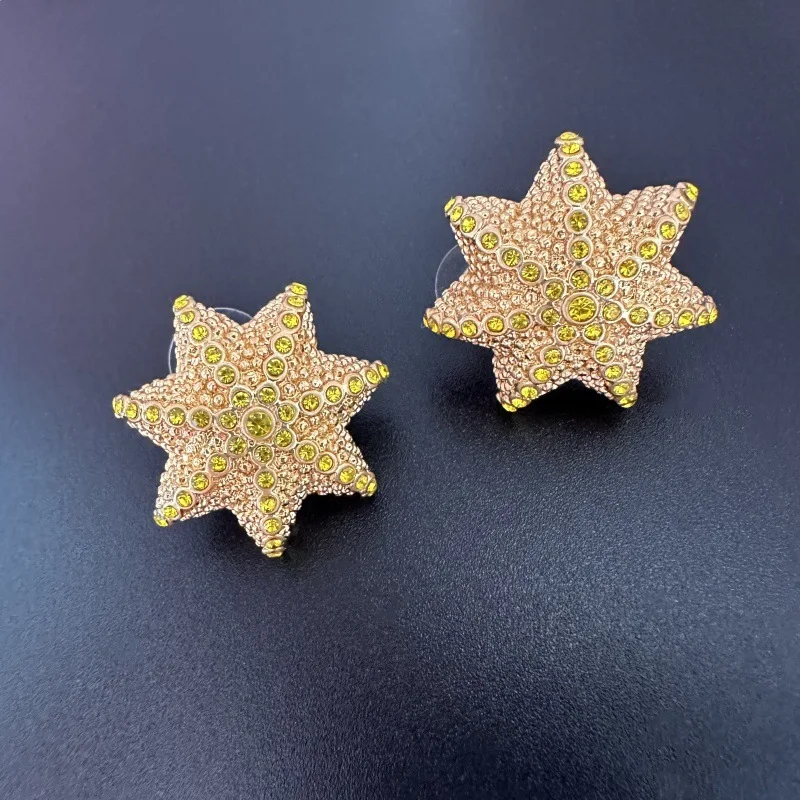 Boucles d'oreilles à clous pou - Vintage Fashion Runway avis et prix